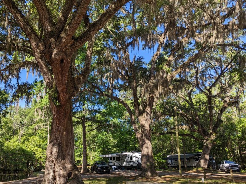 Best All-Ages RV Resorts 2026: Award Winners - Go Camping America