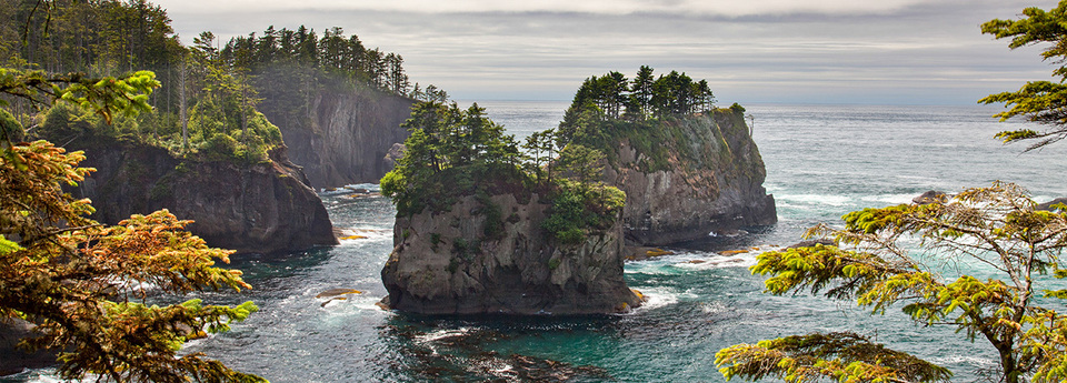 Olympic National Park Vacation Packages For Adventure Lovers Olympic National Park Vacation Packages For Adventure Lovers