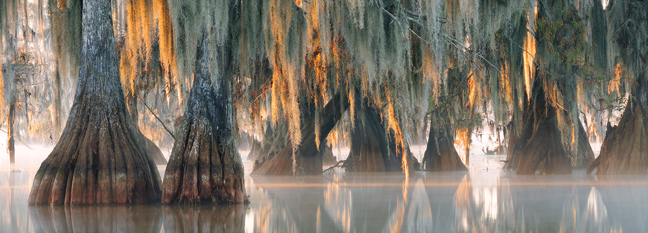 Best Rv Parks In Louisiana: Top Scenic Spots for Your Adventure