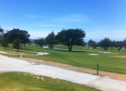 Monterey Pines RV Park photo 2